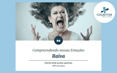 Compreendendo nossas Emoções – Raiva